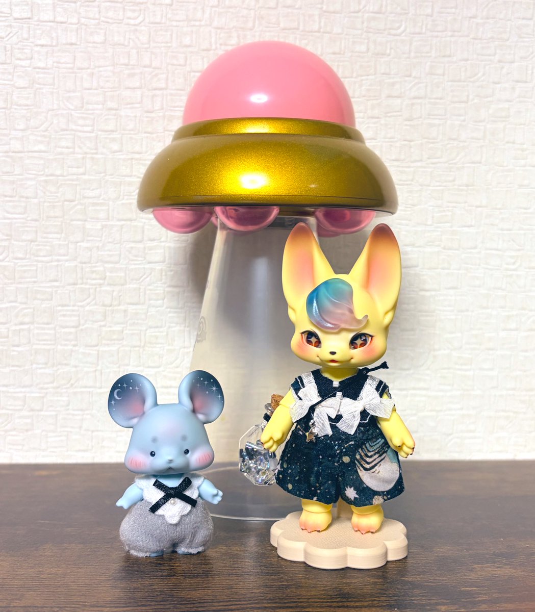 Y_D_T_M_816's tweet photo. 宇宙の旅で少しずつ星を集めているみたい。
可愛い✨

👕→BLanK様 @nungmyo 

#kumukuku https://t.co/klLXRcrZHT