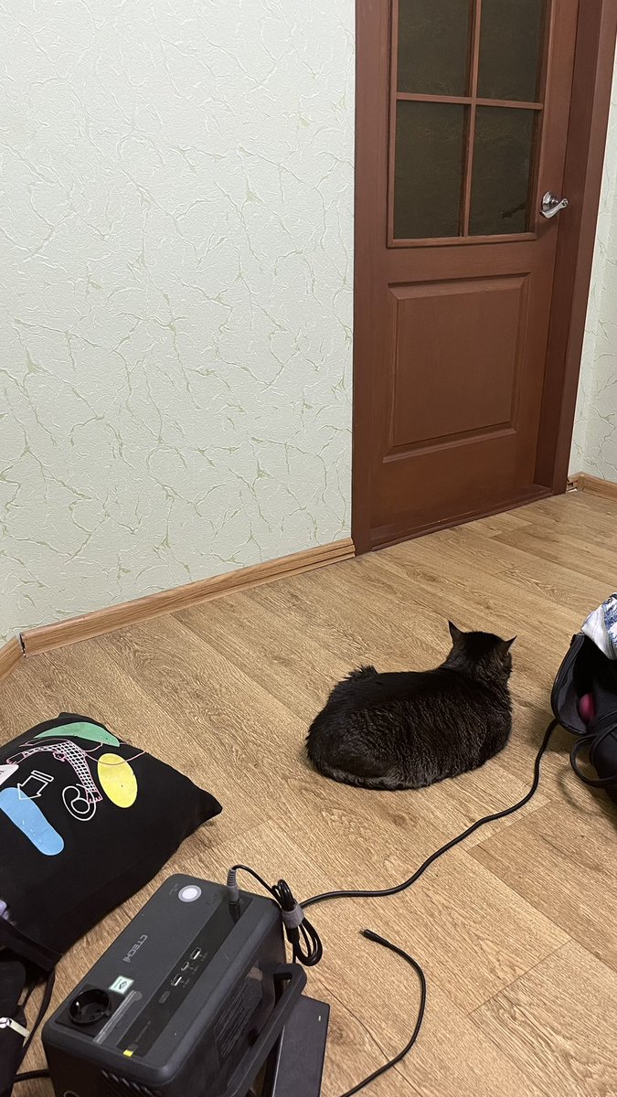 angel’s days tweet media