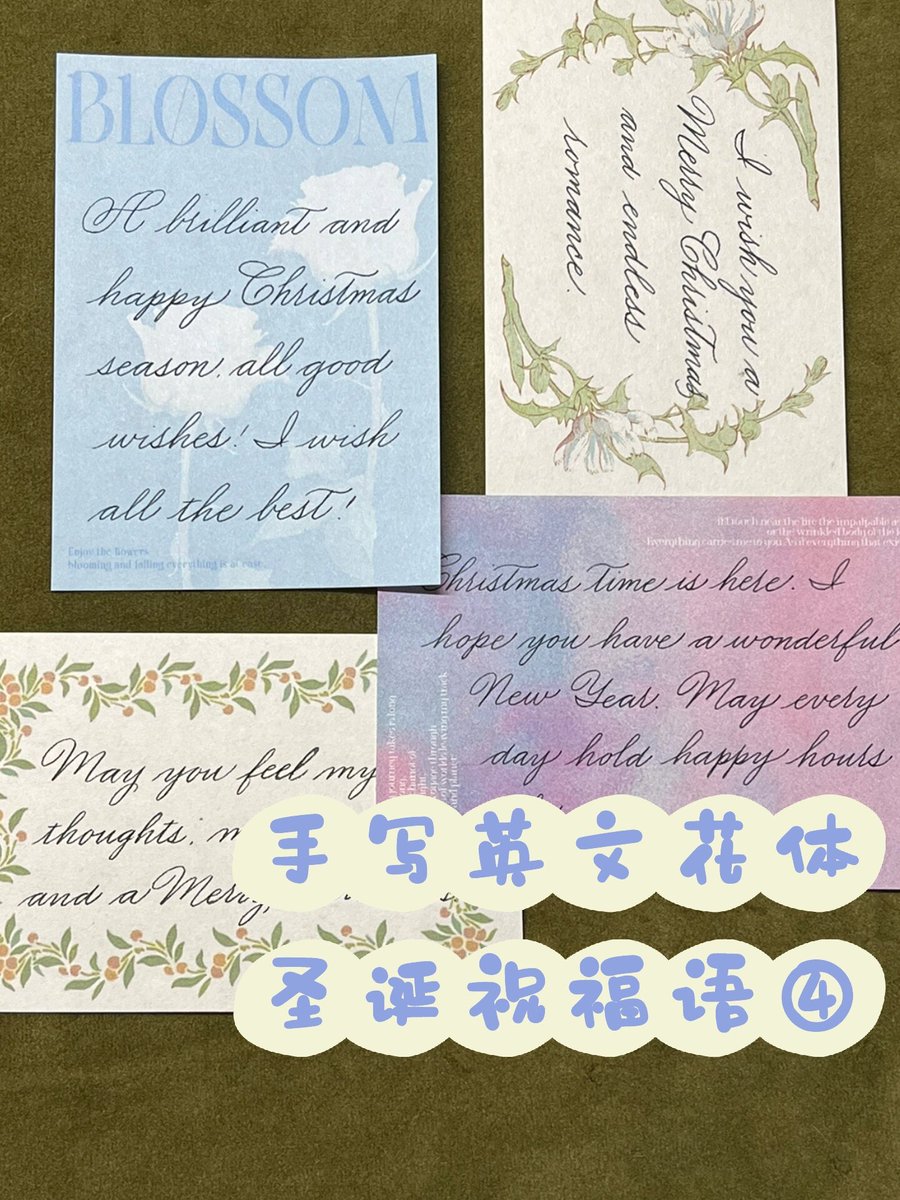 Pamela Favro tweet media