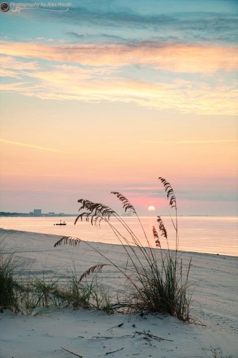 Ultra MAGA Tony 🇺🇸🗽🔫 tweet media