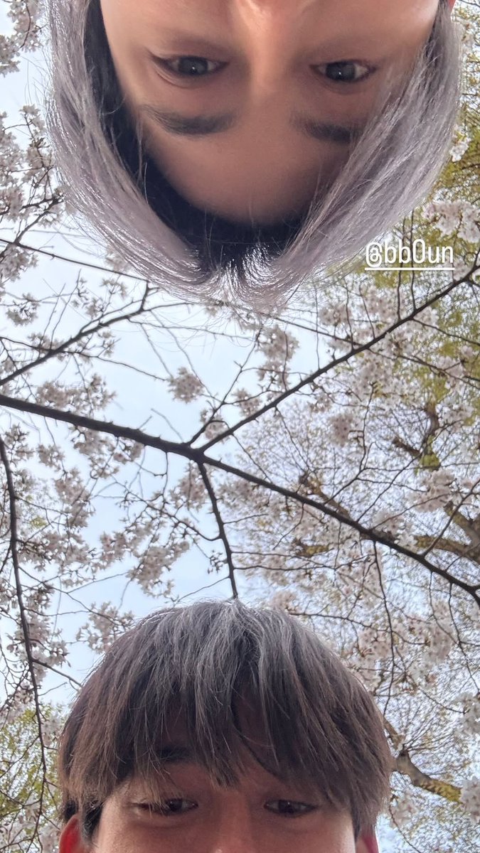 ✧ aey ofdo era tweet media