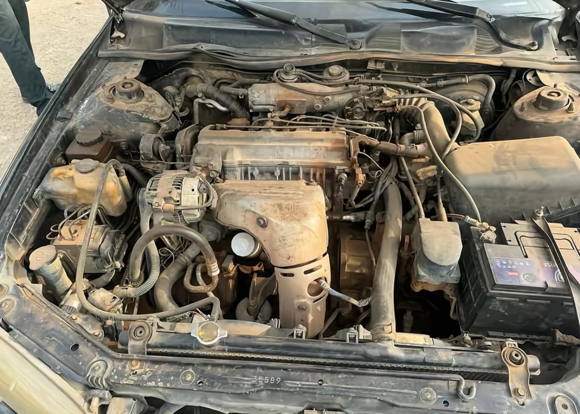 ✘𝜀rif 🆇 tweet media