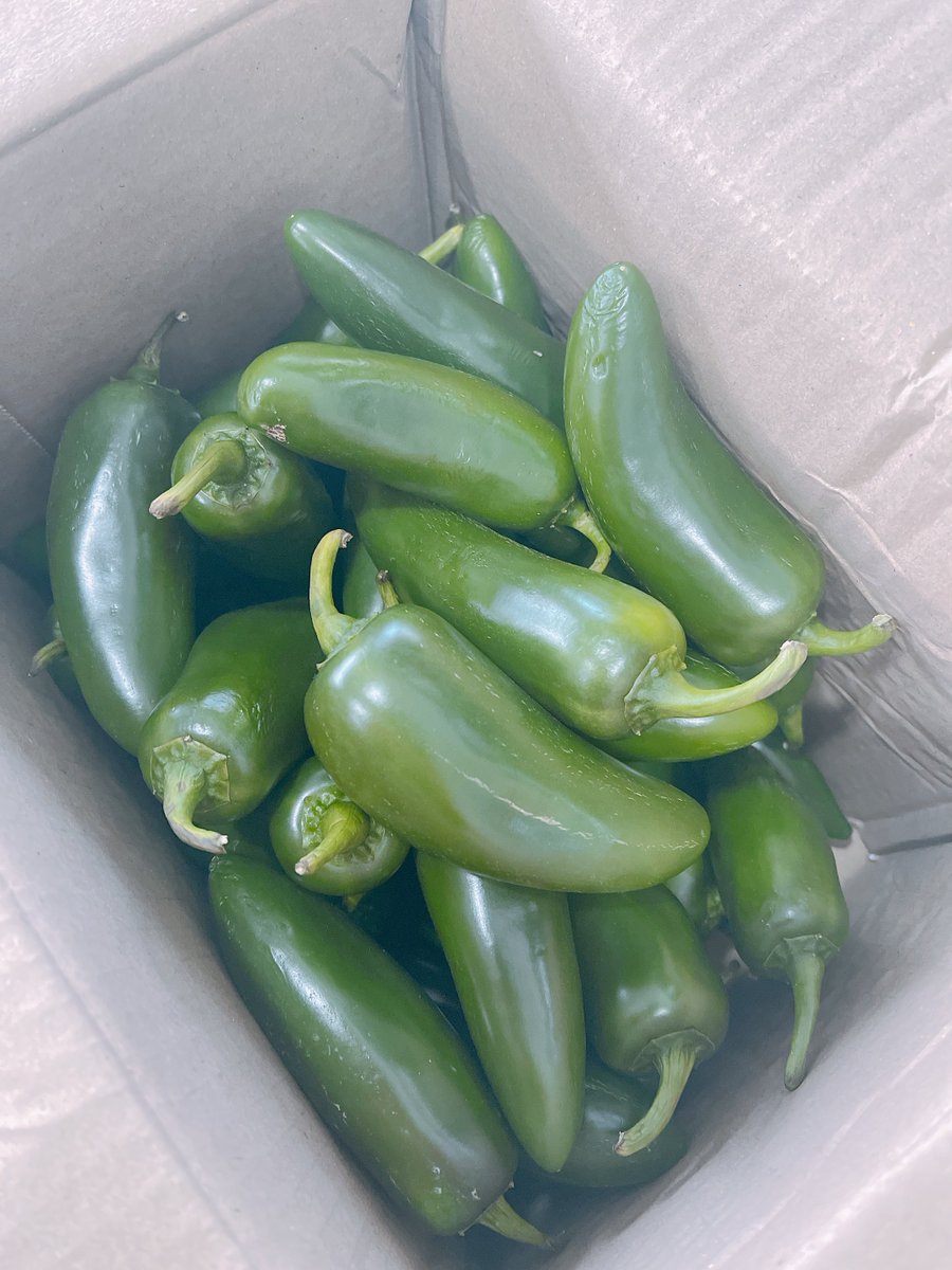 เคยเห็นแต่คนเจอประสบการณ์โดนเพจขายของในเฟสบุ๊คโกงสั่งแล้วไม่ส่งของ 

ส่วนฉันเจอประสบการณ์สั่งของจากเพจเฟสบุ๊ค ร้านส่งของมาแล้ว แต่ยังไม่ได้เก็บตัง ส่งมาแบบเซอร์ไพรซ์ 5555555555555 แบบยอดพี่ก็ไม่แจ้ง บช.พี่ก็ไม่แปะมา ขอแค่ที่อยู่ไปอย่างเดียว ไม่เก็บเงินปลายทางด้วย😂😂😂😂😂😂😂