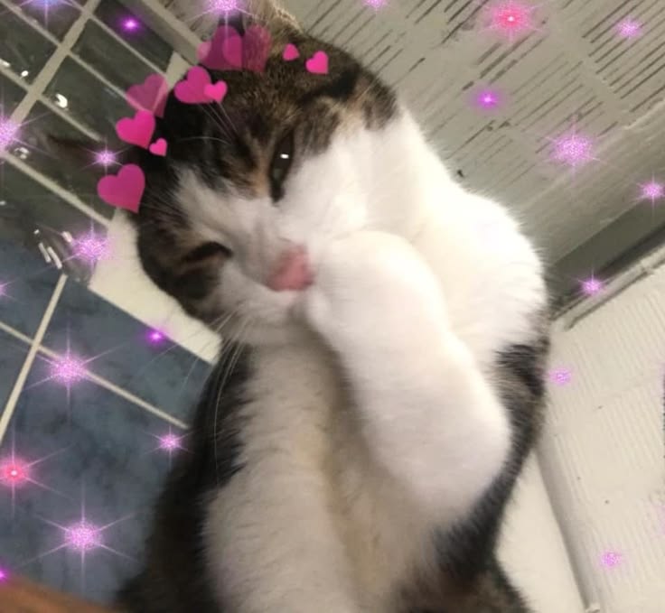 strawberrie 🎀 tweet media