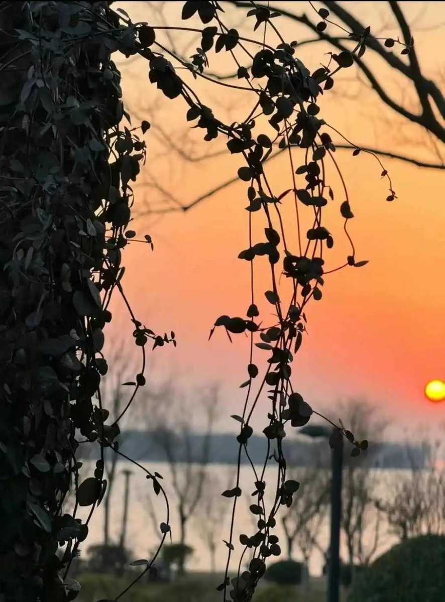 Liz vazquez tweet media