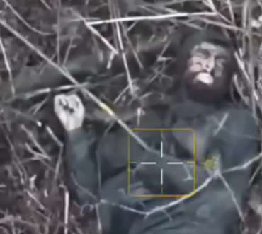 Andrew Perpetua tweet media