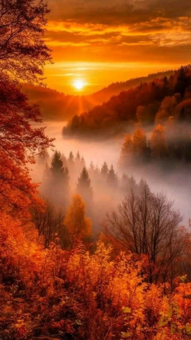 Sonia Álvaro tweet media