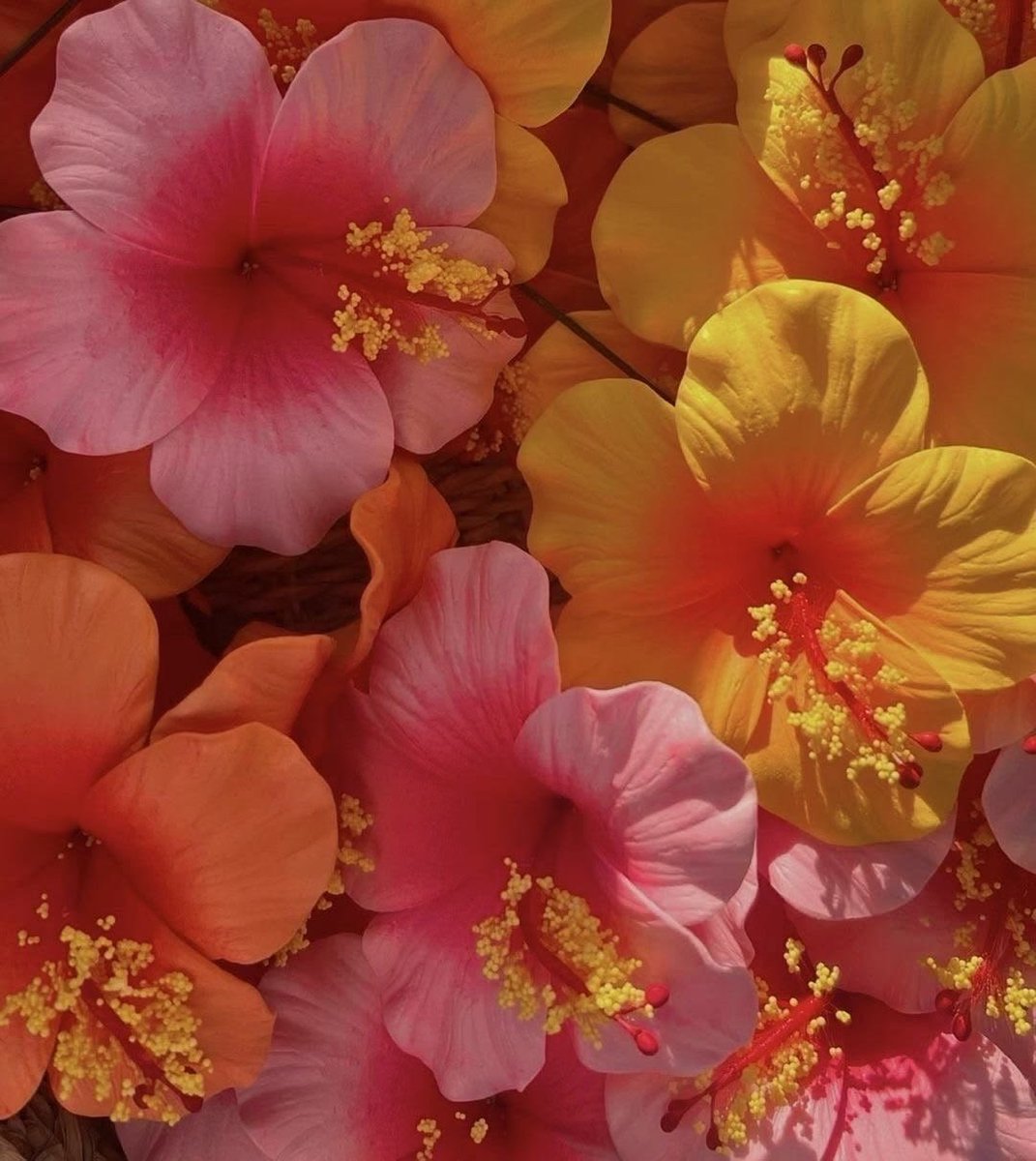 ⊕Gloria⊕ tweet media