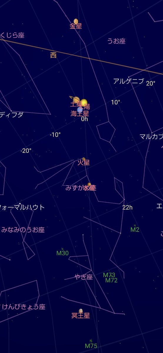 MORIYA (パピコニアン) tweet media