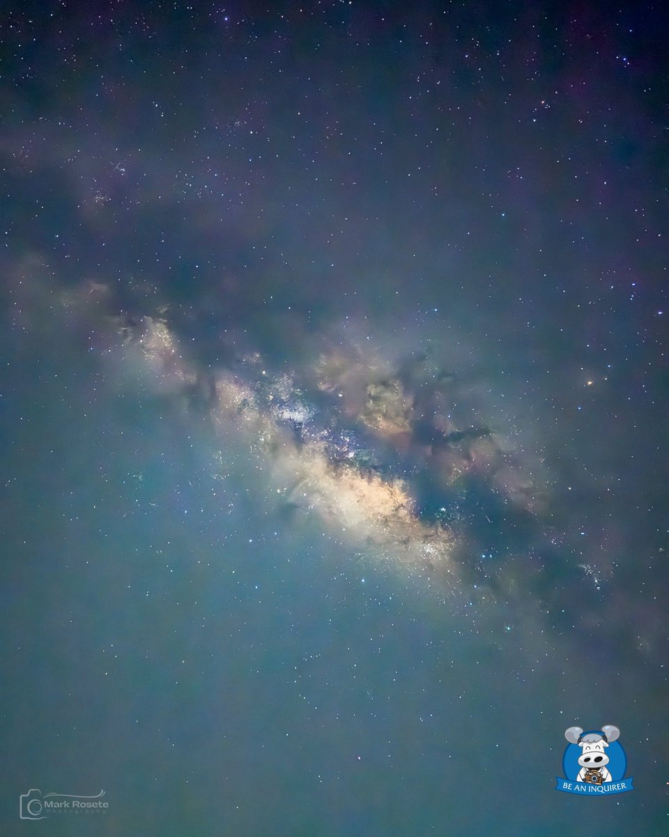 Zila Harwi🦊🍉 tweet media