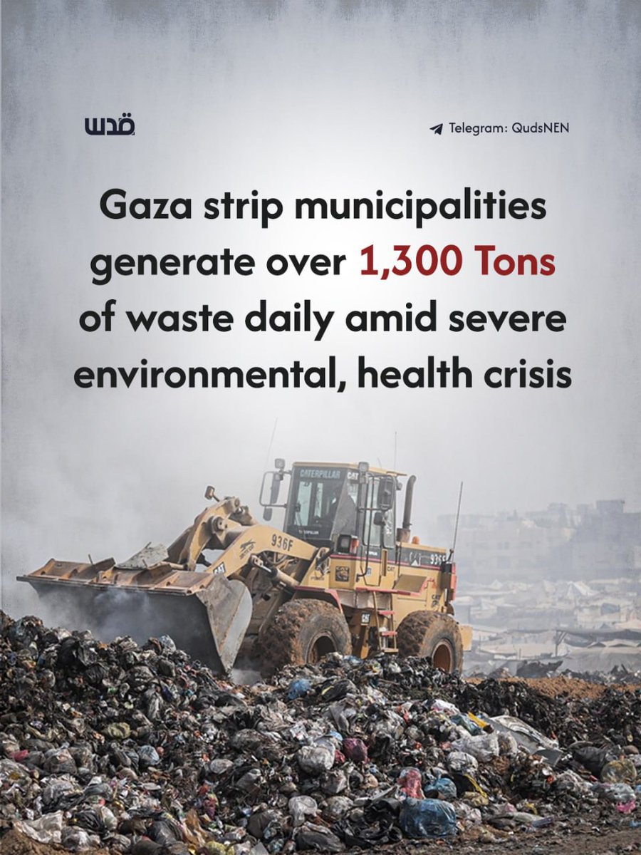 Quds News Network tweet media