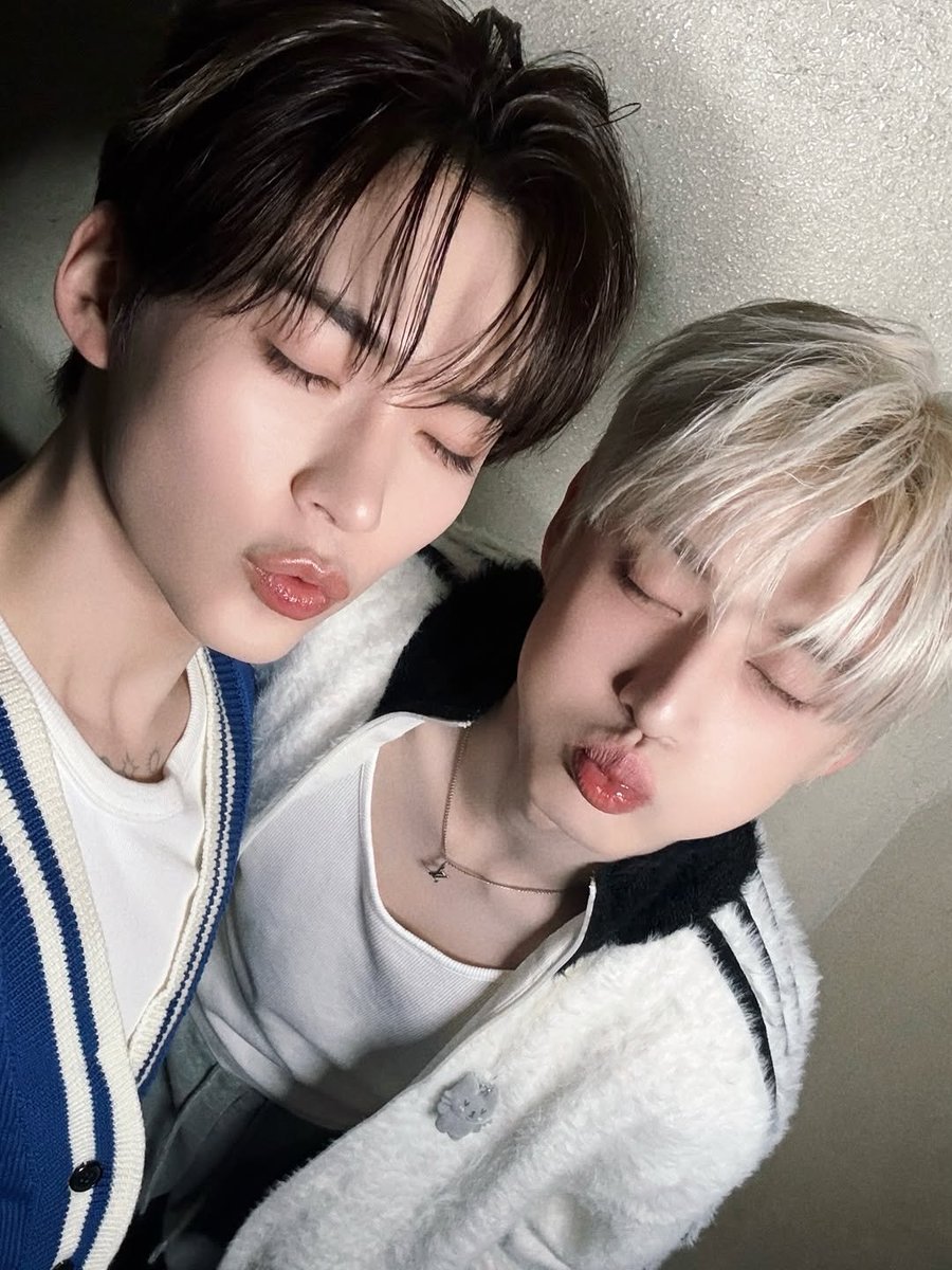 햄깍지🐹🫛 tweet media