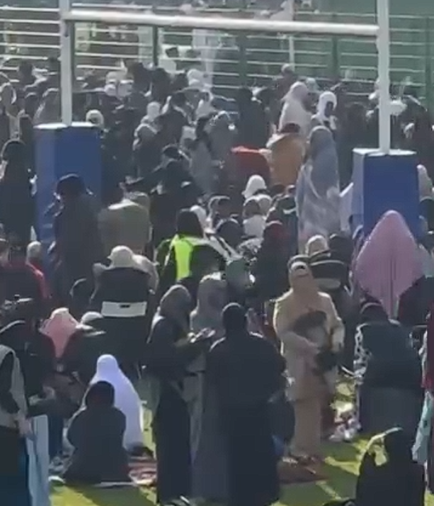 Le Locustus des Francs tweet media