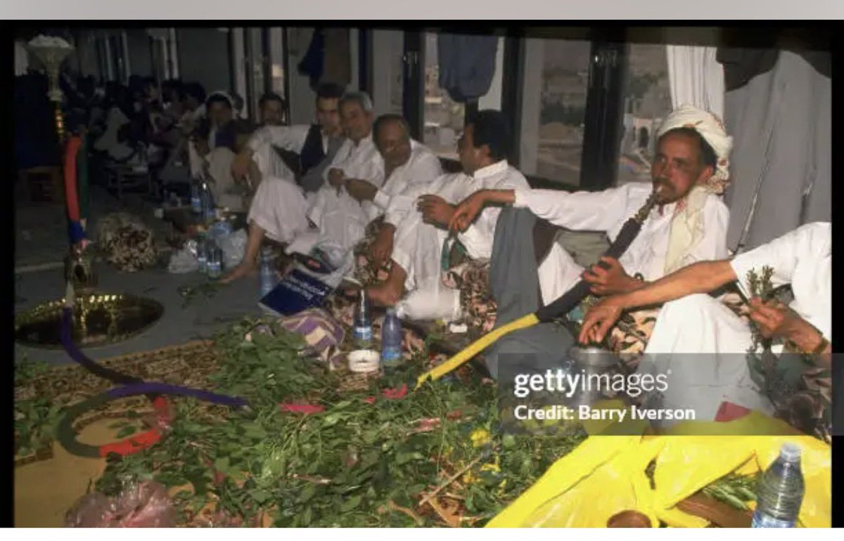 الصقر 𓅓 tweet media