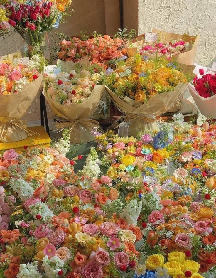 blossom library (@blossom_library) on Twitter photo 