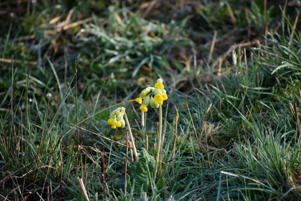 Janette Hall86 tweet media