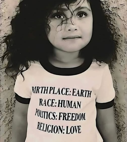 dave lawrence 🐟🐟🐠 tweet media