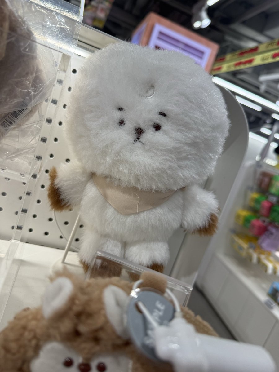 ジジ0804 tweet media