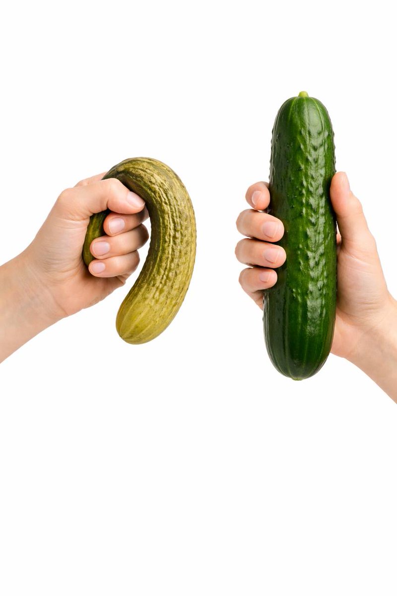 Mind Matter tweet media