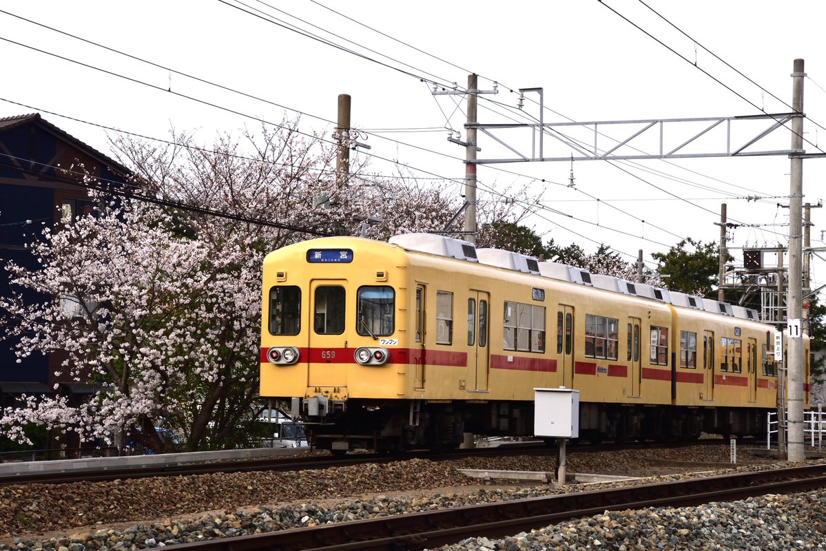 発展著しい新宮町民bot tweet media