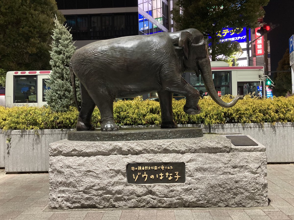 スーザン小林（本物) tweet media