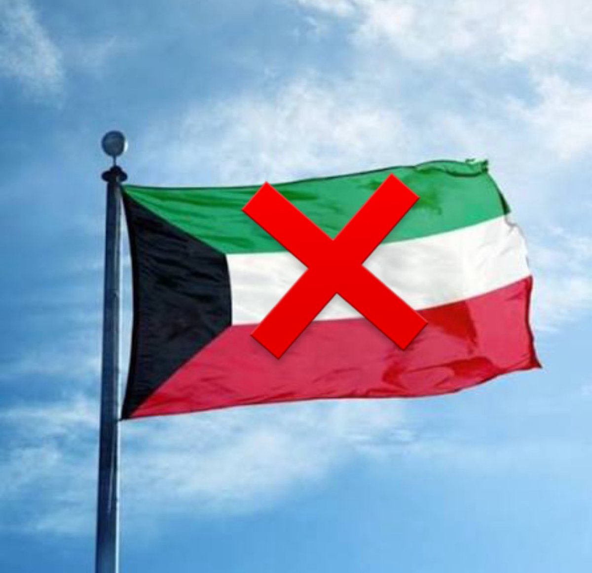 SALSABEEL tweet media