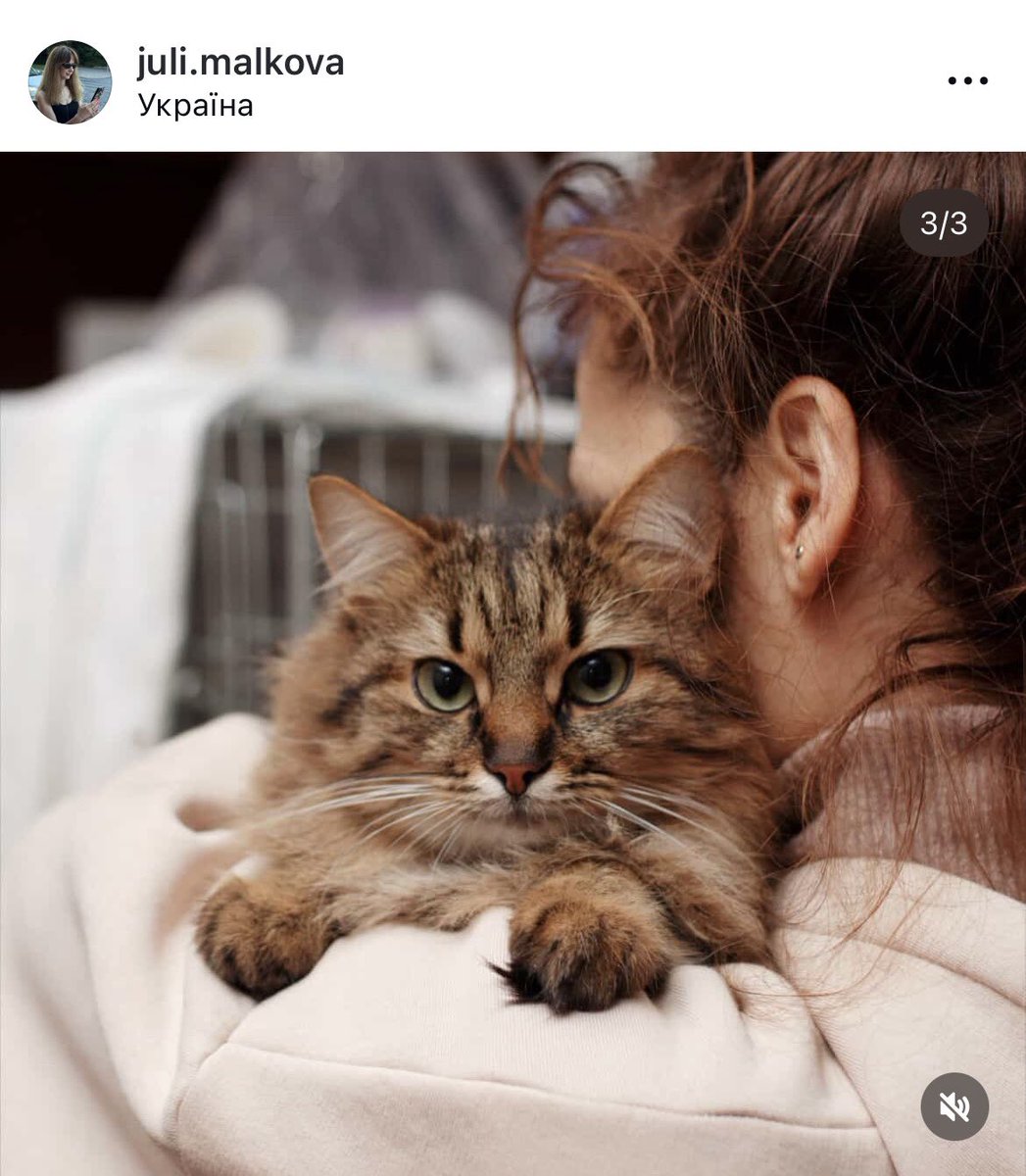 жанна, 26, 🇺🇦 tweet media