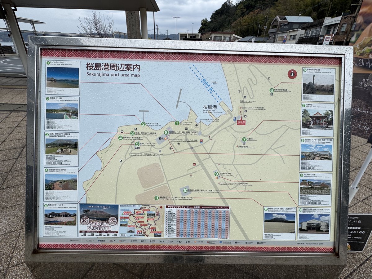 西田彩ゾンビ tweet media