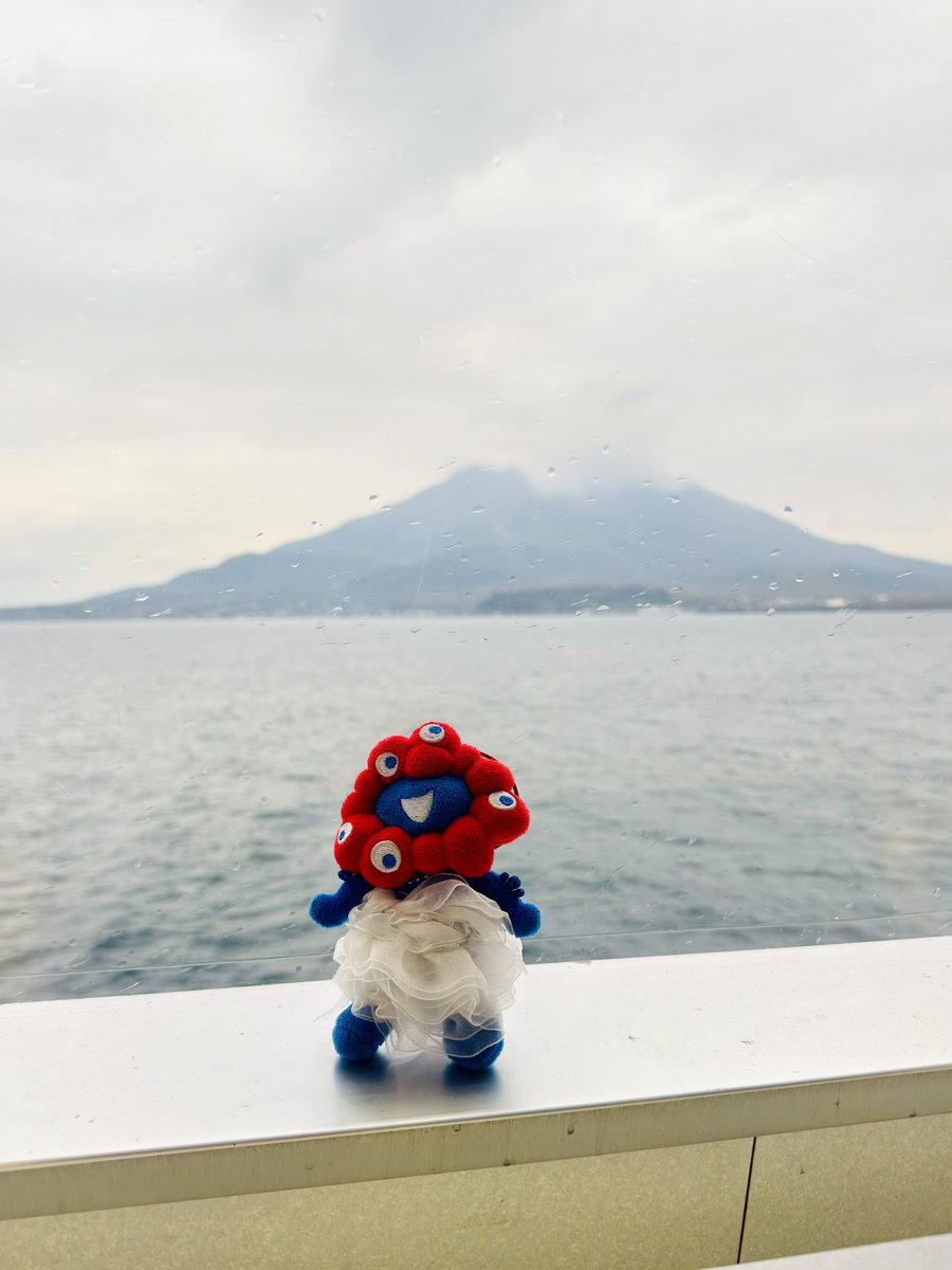 西田彩ゾンビ tweet media