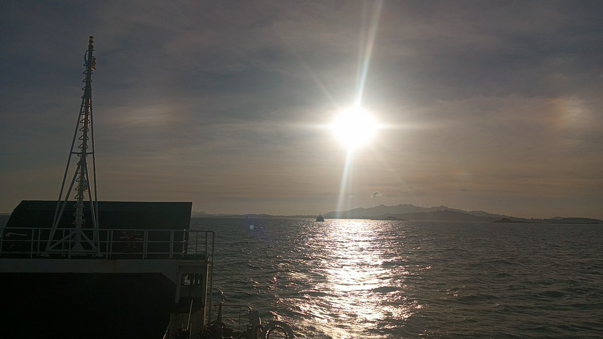 Erica Figueredo tweet media