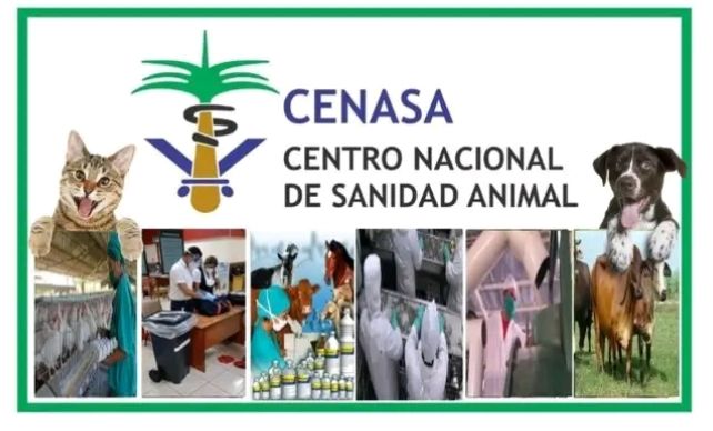 Milka Fernandez tweet media