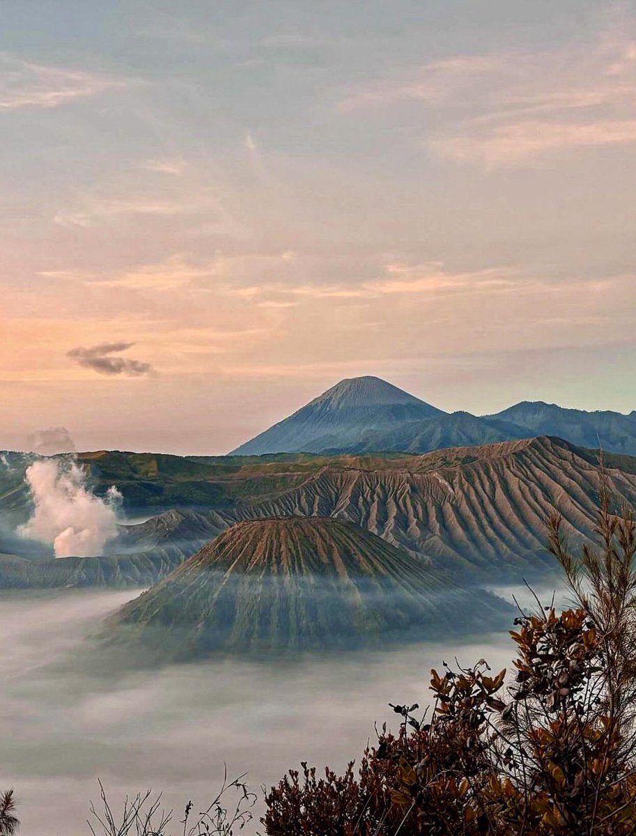 Globe Tucker tweet media