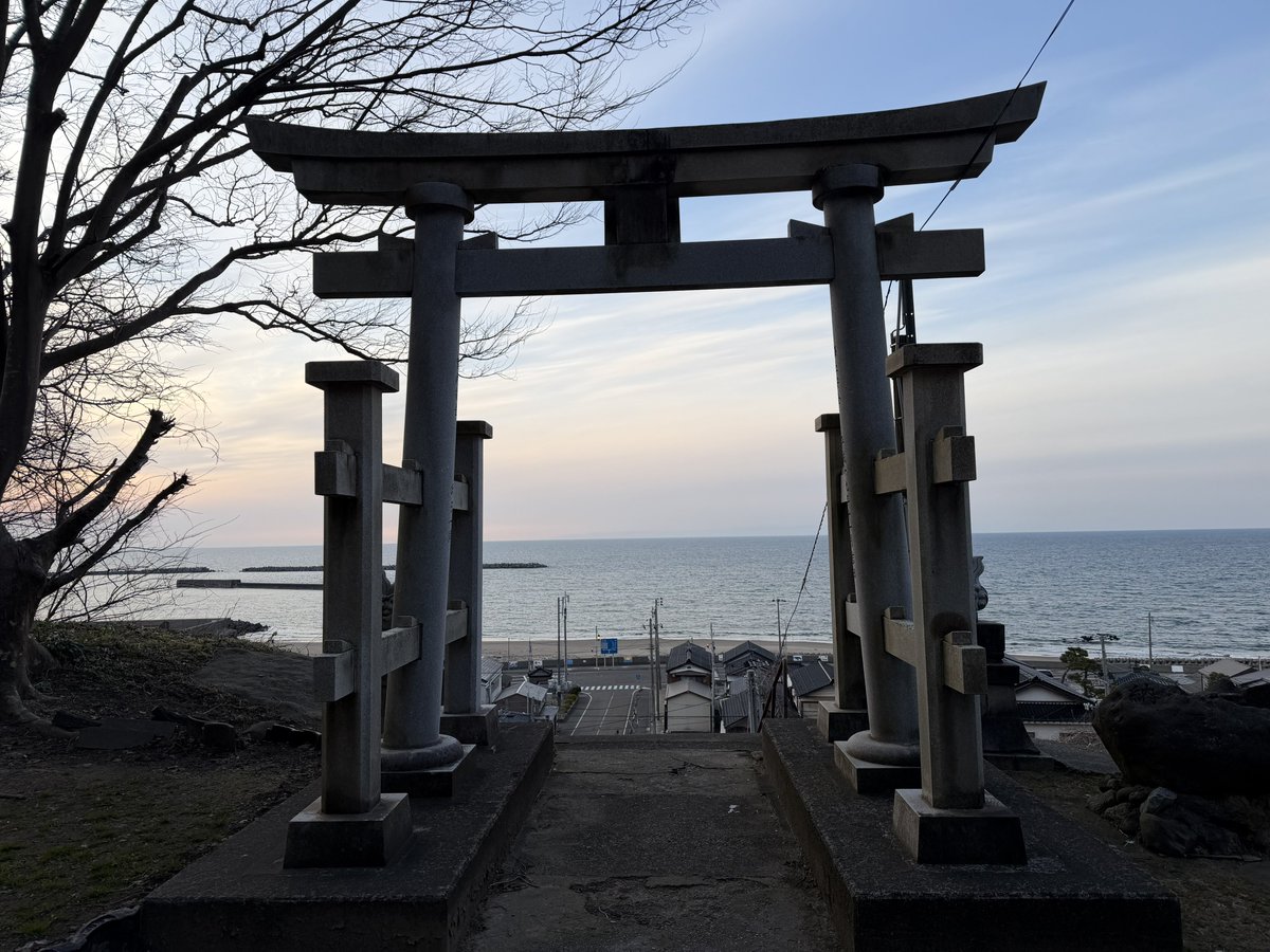 新井さん tweet media