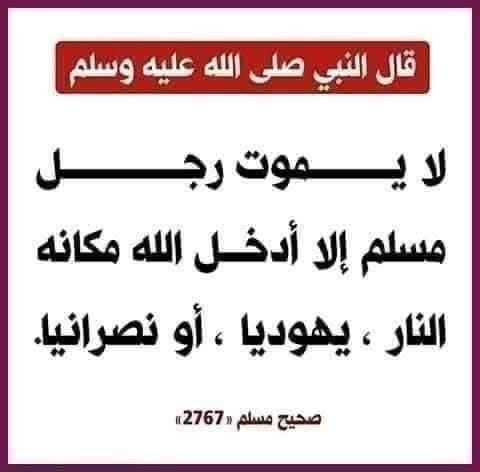 EGYPTIAN tweet media