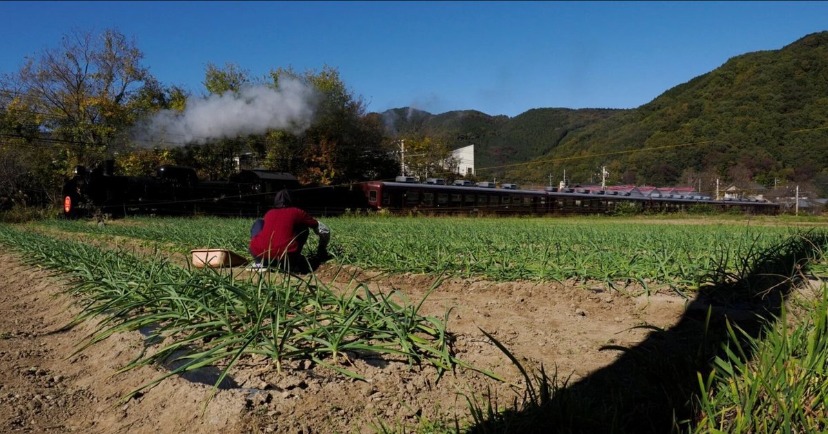 OM SYSTEM JP tweet media