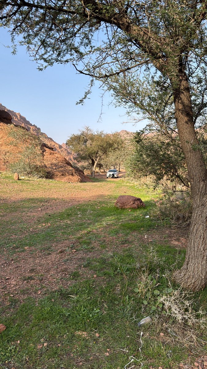 فايد بن فهد الزعيزع tweet media