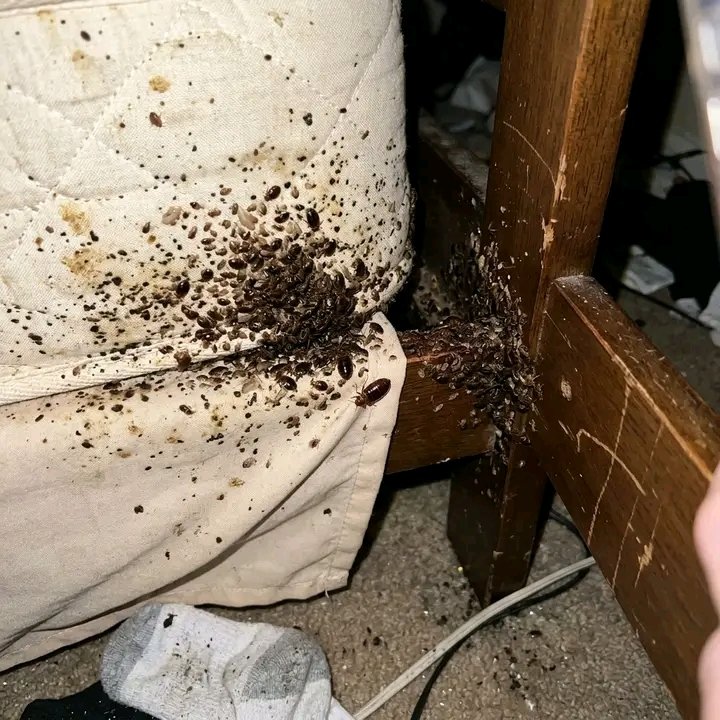 GUMMY BEAR🐻  tweet media