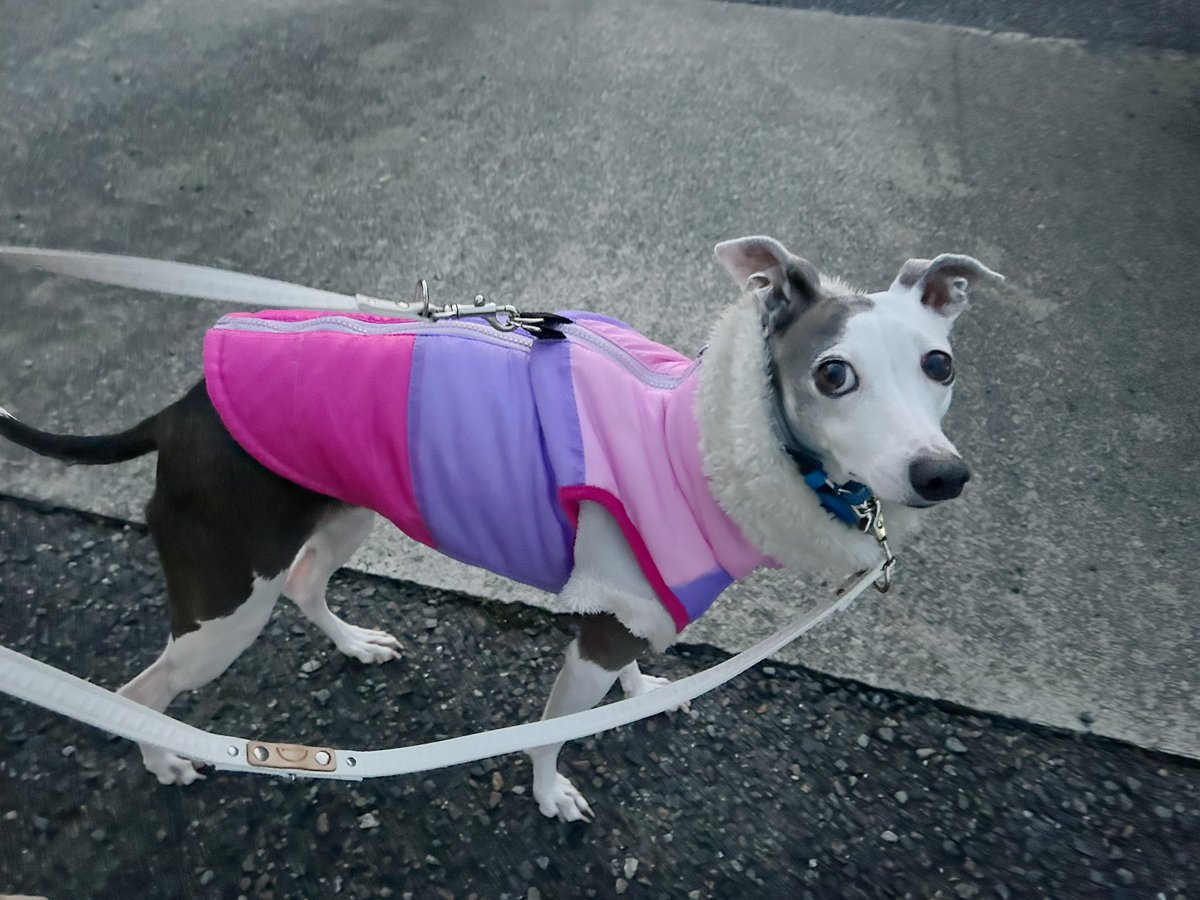 ママディ🧏‍♀️ tweet media