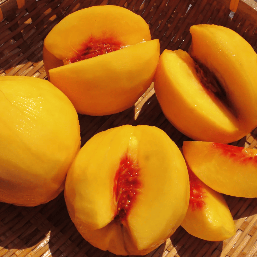 Taylor Draper tweet media