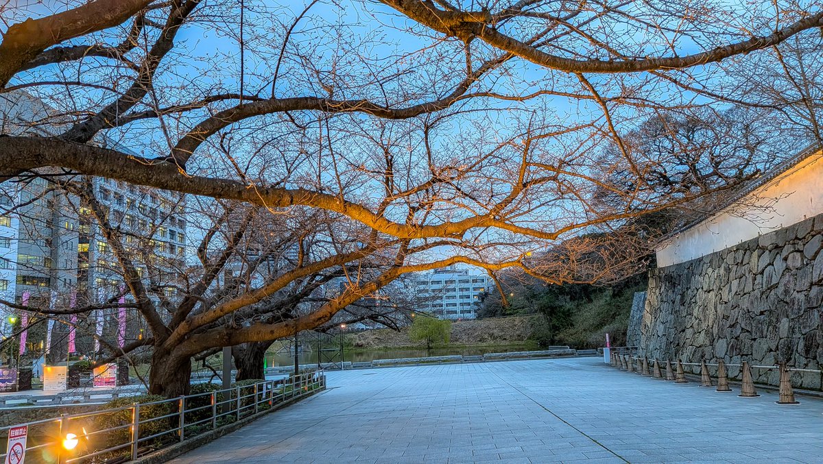 クラ📷_写真垢 tweet media