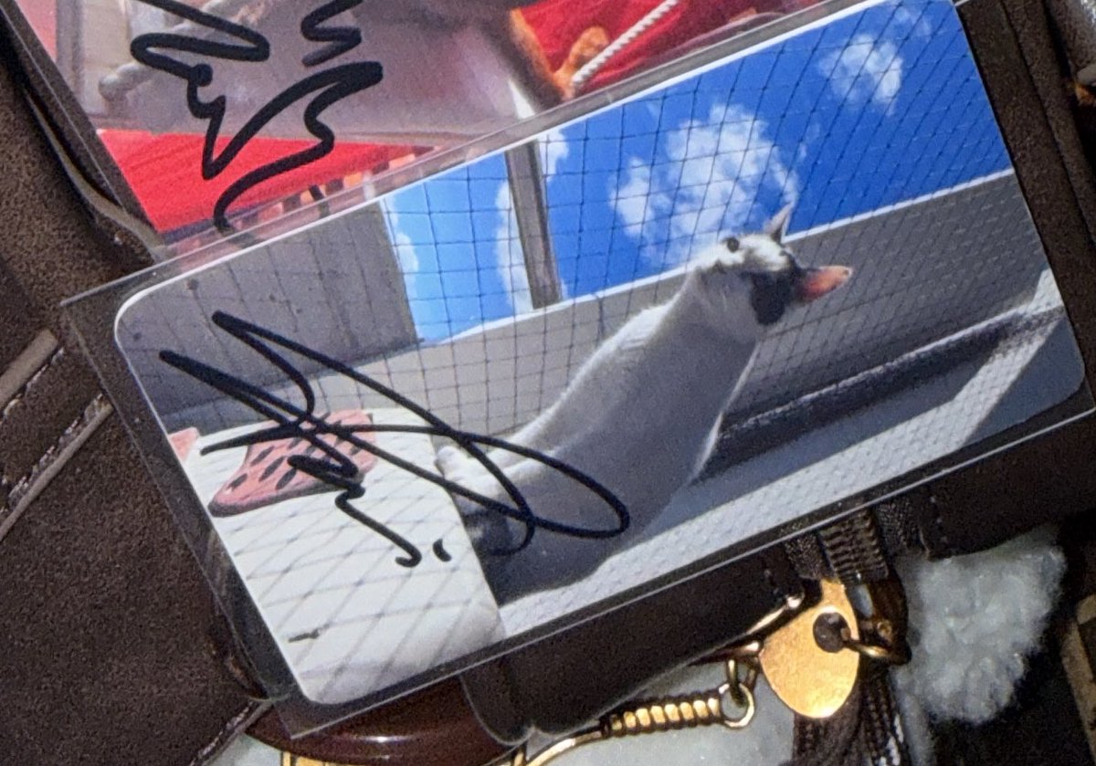 ❧☽ ᵐⁱᵒʷ. tweet media