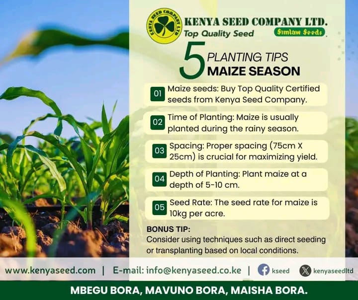 Simlaw Seeds Co. Ltd tweet media