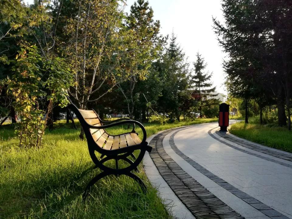 loudpakshawty tweet media