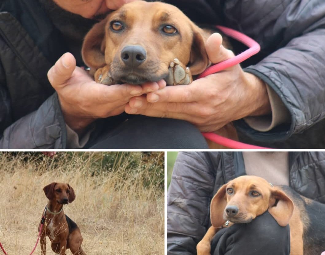 Χλε_Μπονα Σαμερ tweet media