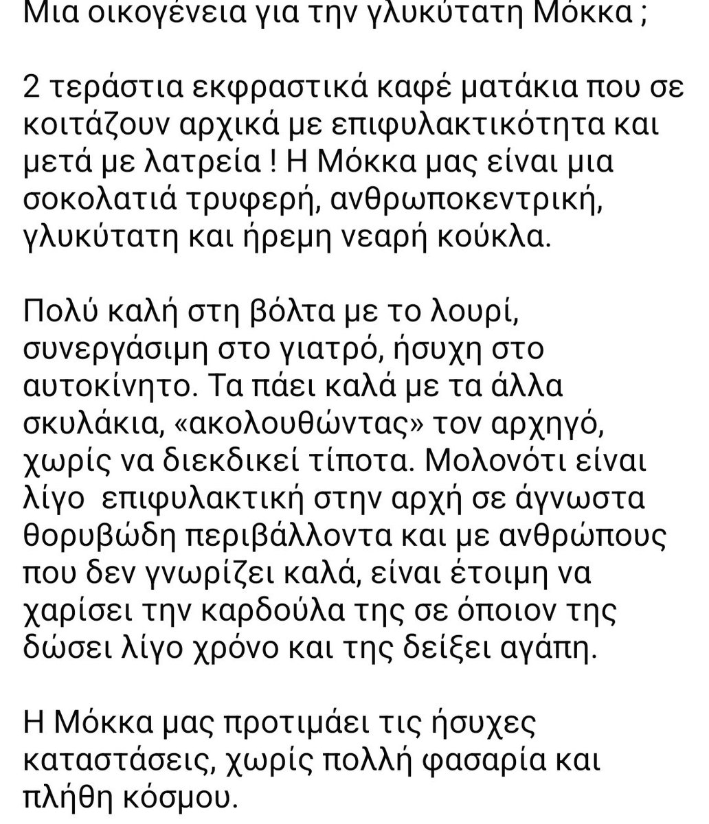 Χλε_Μπονα Σαμερ tweet media