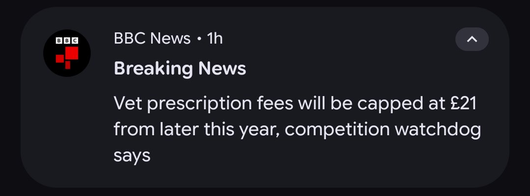 Oscar 🌐 tweet media