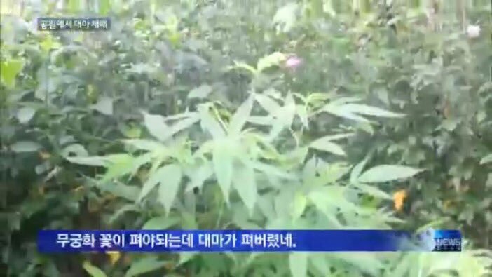 inseul인슬 tweet media