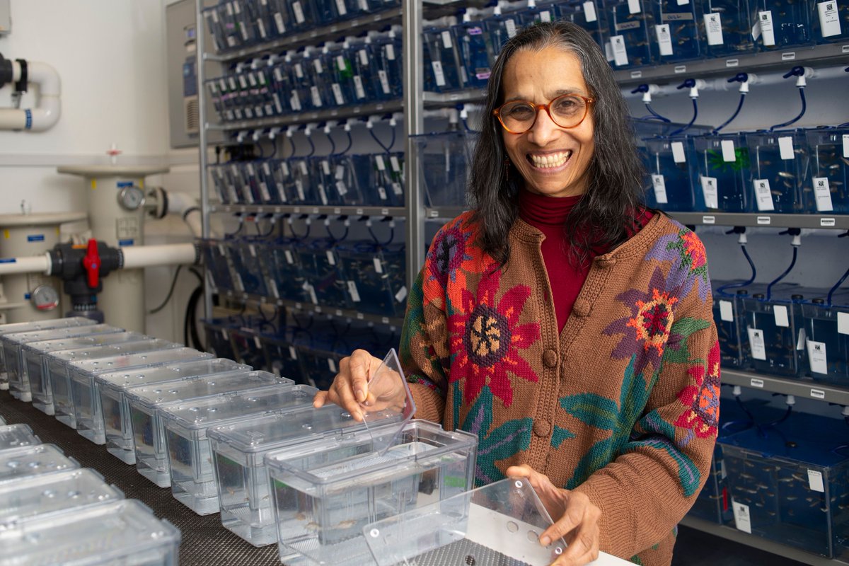 Medicine at Cambridge tweet media