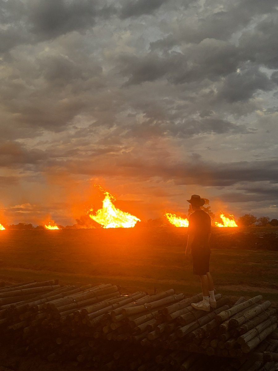 Peckroute tweet media