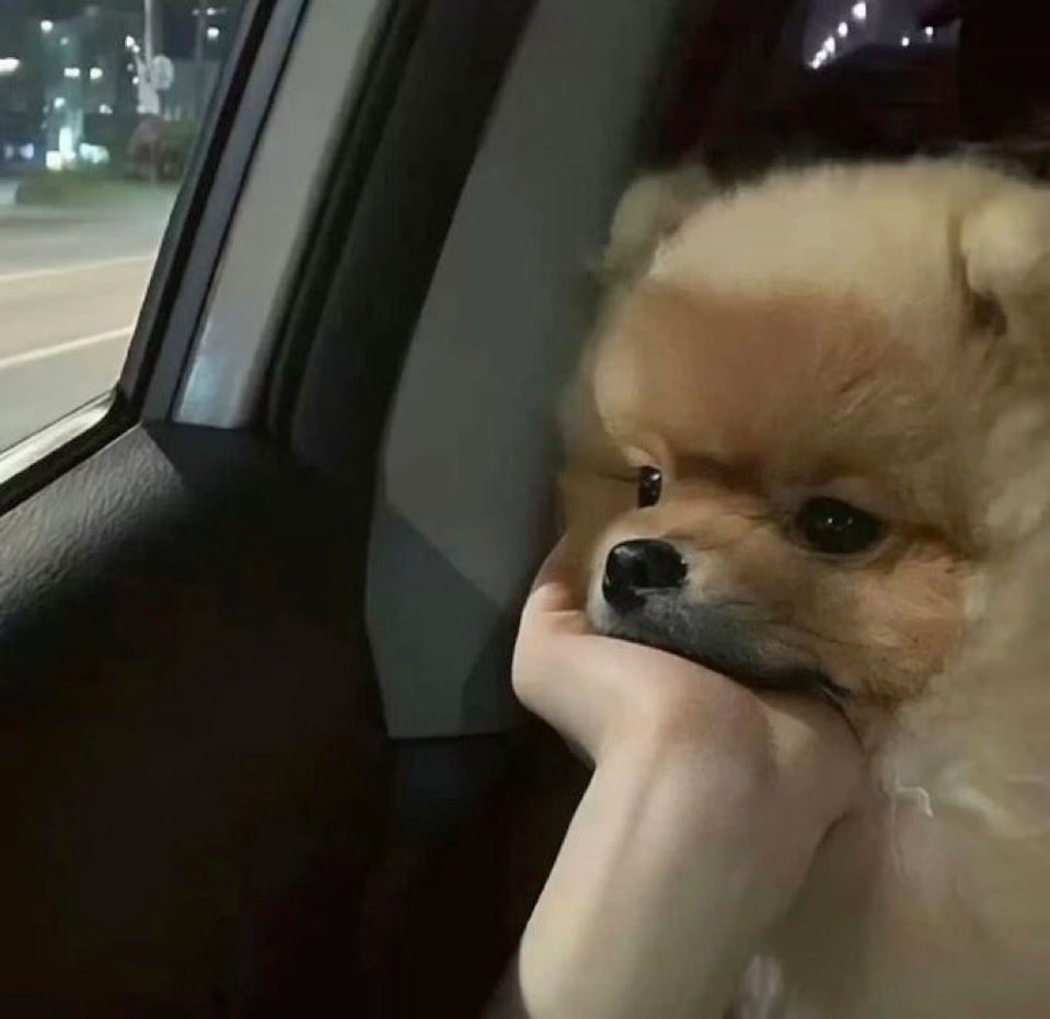 appBuild tweet media